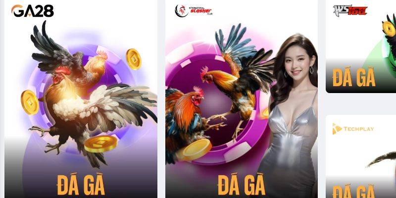 Đá gà Max88 gay cấn với các chiến kê xuất sắc Đá gà max88